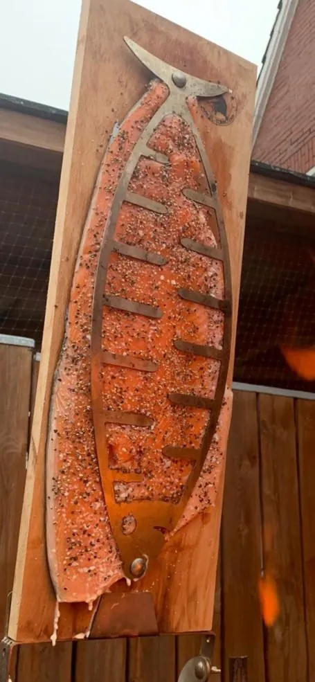 Flammlachs am Holzbrett vor der Glut